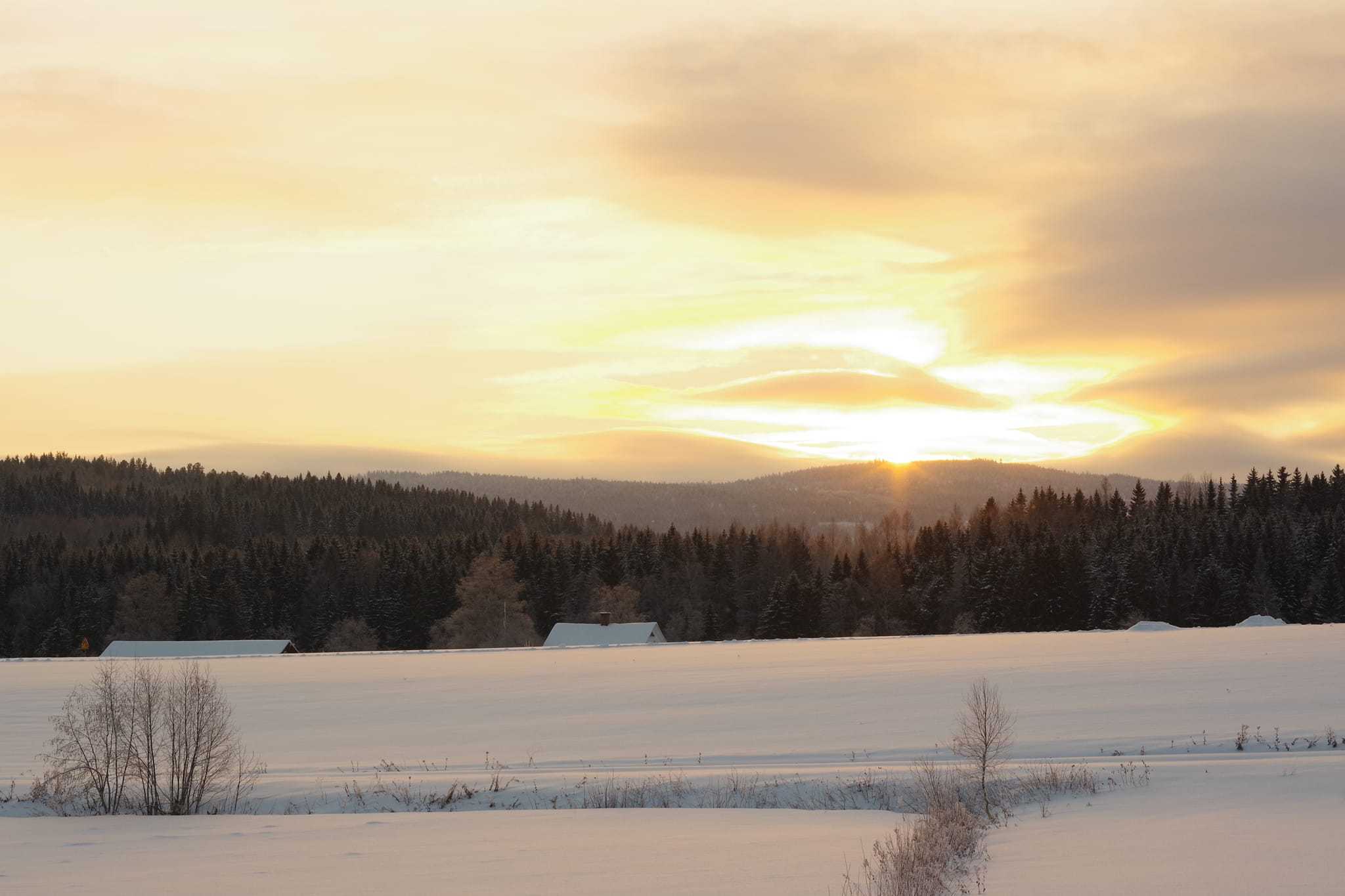 Gustav Kasselstrand vintertalar