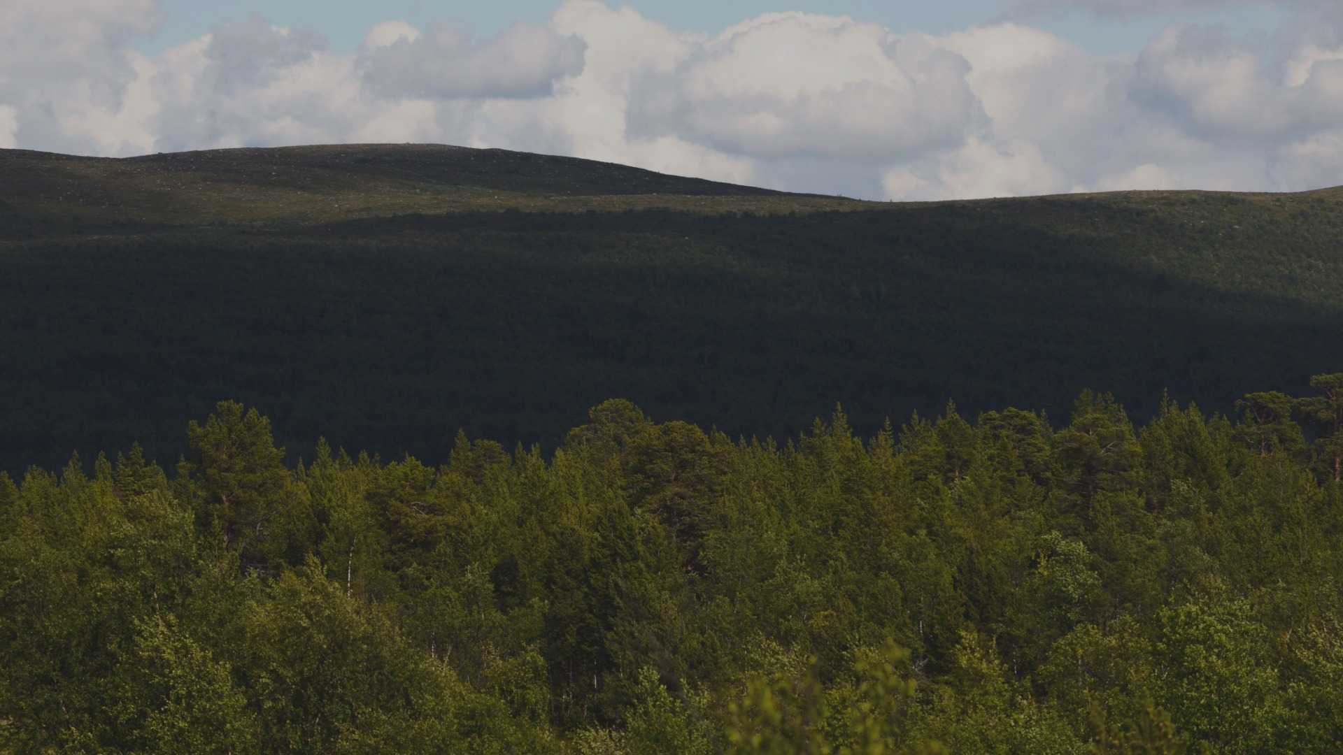 AFS står upp för svenska jägare och sportskyttar